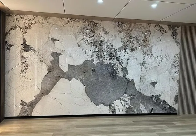 Εισαγωγή στο πάνελ τοίχου ανθεκτικό στις κρούσεις.